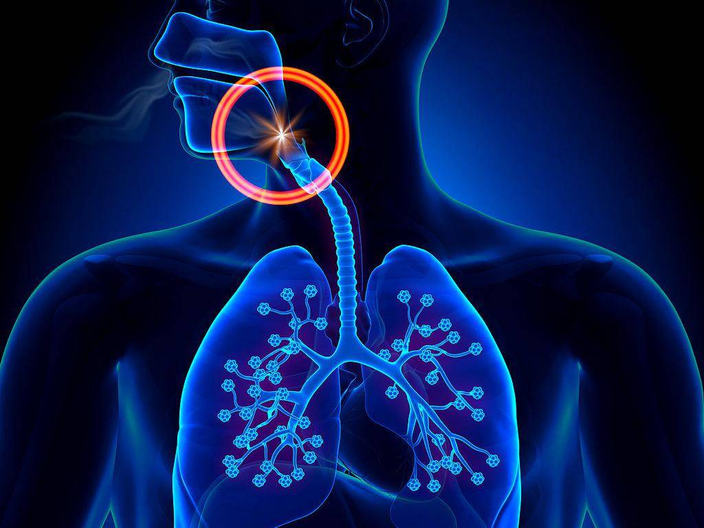 支气管镜检查的那些事儿