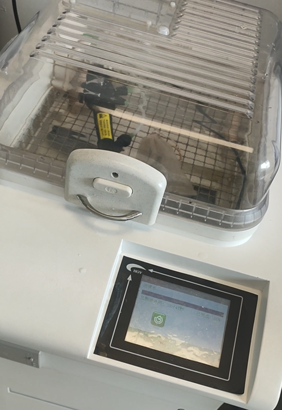 鼹鼠医疗和您聊聊：可视喉镜与电子支气管镜维护保养