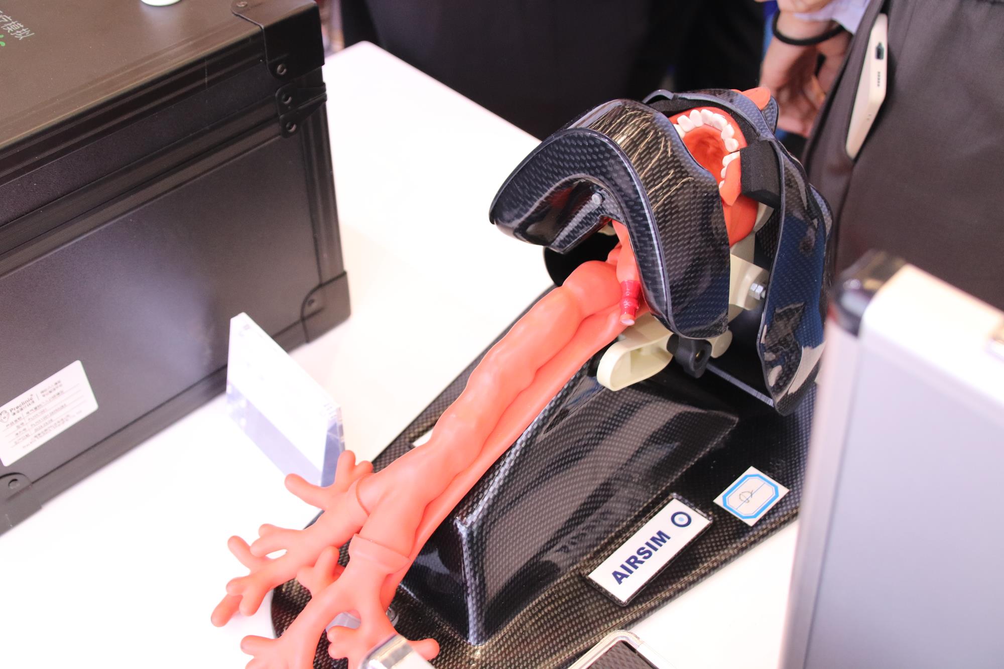 鼹鼠医疗视角下：颈椎固定患者可视喉镜与纤支镜气管插管的比较