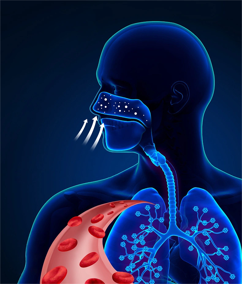 支气管镜厂家带您了解电子支气管镜在重症救治的应用.png 支气管镜厂家带您了解电子支气管镜在重症救治的应用.png