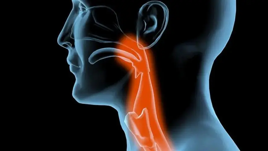 可视喉镜生产厂家提醒您:可视喉镜在临床使用中应该注意什么呢?.png 可视喉镜生产厂家提醒您:可视喉镜在临床使用中应该注意什么呢?.png